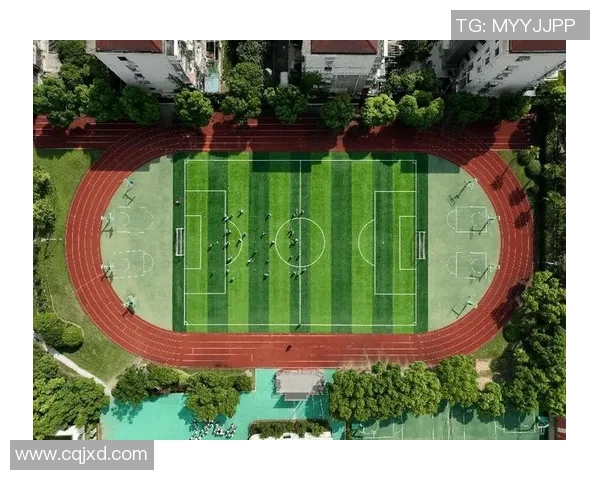 上海羽毛球队进攻革新之路探索与实践分析