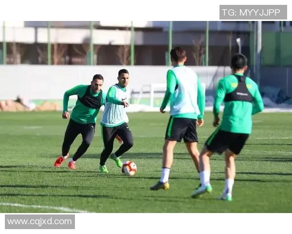 北京羽毛球队总决赛精彩表现分析与节奏掌控的深度点评 北京羽毛球队总决赛精彩表现分析与节奏掌控的深度点评