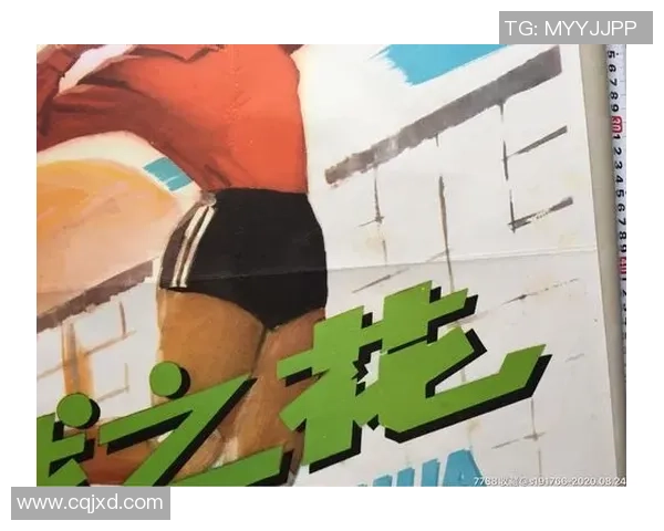 深度对话李军畅谈排球人生与职业生涯的心路历程与成长故事