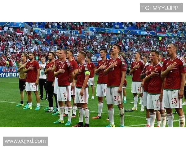 探索塞壬足球的魅力与挑战揭示这项运动背后的文化与精神内涵 探索塞壬足球的魅力与挑战揭示这项运动背后的文化与精神内涵