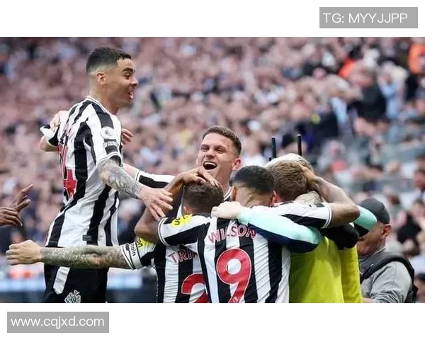 禁区足球小说：在绿茵场上追逐梦想与荣耀的青春故事