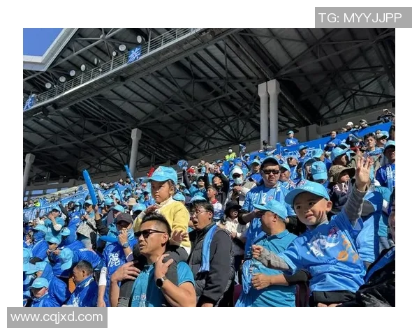 足球而已的魅力探讨与球迷文化的深度融合之旅 足球而已的魅力探讨与球迷文化的深度融合之旅