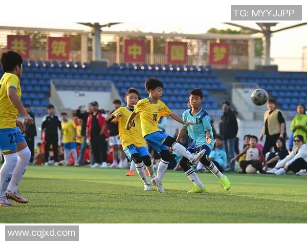 足球的魅力与激情:在绿茵场上追逐梦想的青春故事 足球的魅力与激情:在绿茵场上追逐梦想的青春故事