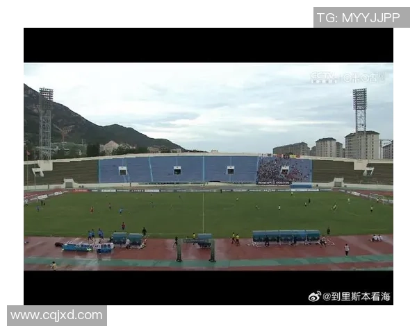 足球田径场的多功能利用与青少年体育发展的新机遇探讨